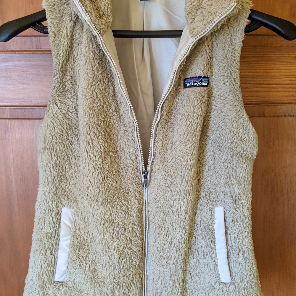 Los gatos vest